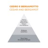 RICARICA CEDRO & BERGAMOTTO 400ML
